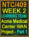 NTC/409 Acme Medical Center WAN Project